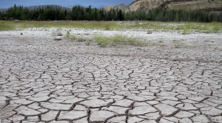 Foto: ALF PONCE MERCADO / MDZ