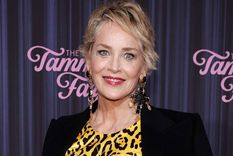 sharon stone denuncio que una causa de lucha mundial estuvo a punto de destruir su carrera