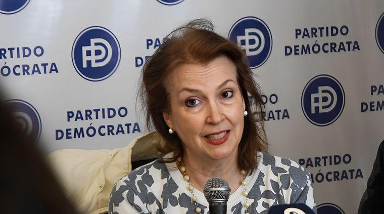 Crece la polémica: El radicalismo impulsa un proyecto para repudiar a Diana Mondino por Malvinas Foto: Rodrigo DAngelo / MDZ