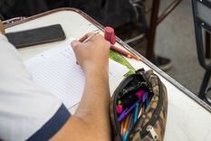 Los estudiantes utilizan los dispositivos a diario durante las horas de clase y en los recreos Foto: Santiago Tagua/MDZ Los estudiantes utilizan los dispositivos a diario durante las horas de clase y en los recreos Foto: Santiago Tagua/MDZ