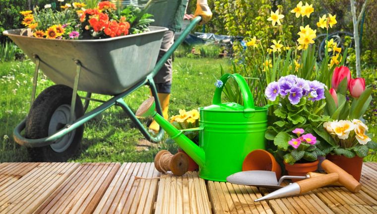 Secretos para un jardín radiante en verano Foto: Shutterstock  ?