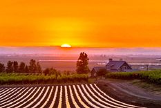 Foto: Los Ángeles Times