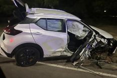 El vehículo accidentado Foto: MDZ El vehículo accidentado Foto: MDZ