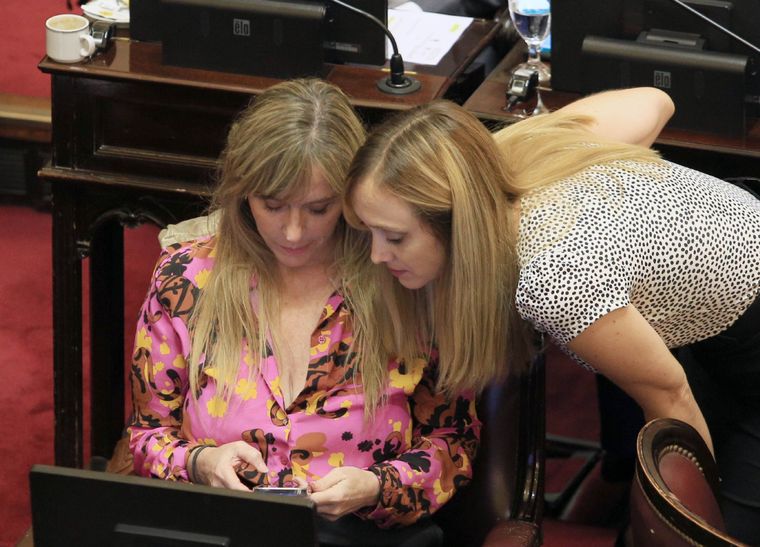 Las senadoras Anabel Fernández Sagasti y Juliana di Tullio Foto: NA