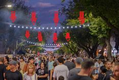 Las flechas van a tono con la fealdad que nada mejora la iluminación de la Avenida Sarmiento. Y dejar atrás la Mendoza kermés.