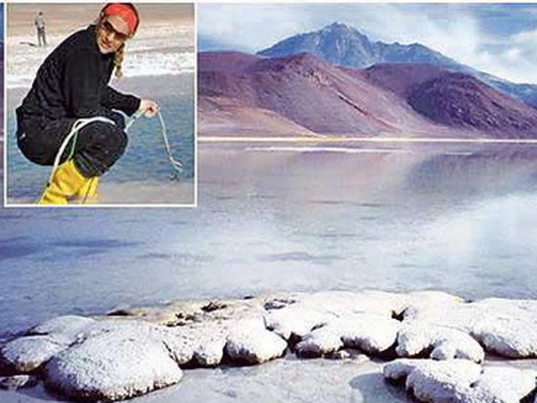 Rocas con estromatolitos hallados por María Eugenia Farías. Foto: Gentileza La Gaceta de Tucumán