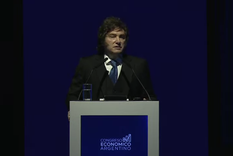 Presidente Javier Milei