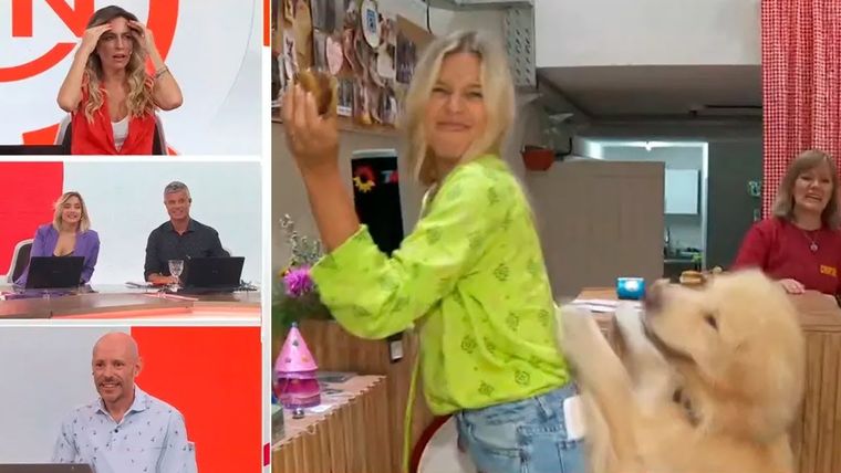 Marina Señuk protagonizó un riesgoso momento con perros en TV Foto: Captura de video El Trece