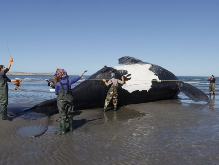 Foto: Noticias Argentinas