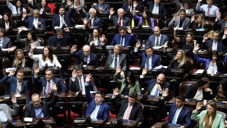 El bloque de diputados de los libertarios y aliados espera crecer en las elecciones 2025. Foto: NA