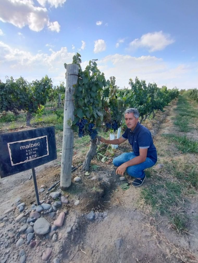 Productores Carlos Dávila se dedica a la vitivinicultura hace más de 30 años Foto: Gentileza Carlos Dávila