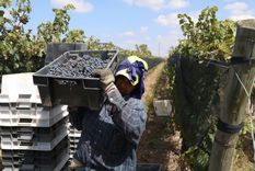 “No son créditos, son aportes no reembolsables”, explicó Hinojosa Foto: Maximiliano Ríos/MDZ