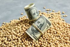 La liquidación de dólares del sector agroindustrial comenzó a fluir en abril y le dio aire al Gobierno para capturar los dólares que necesita el Banco Central. Foto: Shutterstock La liquidación de dólares del sector agroindustrial comenzó a fluir en abril y le dio aire al Gobierno para capturar los dólares que necesita el Banco Central. Foto: Shutterstock