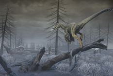 Foto: Obra de Mark A. Garlick.