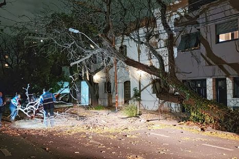 Vecinos siguen reportando incidentes en distintas zonas de Mendoza. Vecinos siguen reportando incidentes en distintas zonas de Mendoza.