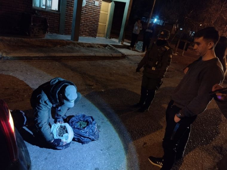 Gendarmería detuvo a dos personas que transportaban marihuana gracias a la intervención de un can Foto: Ministerio de Seguridad de Mendoza