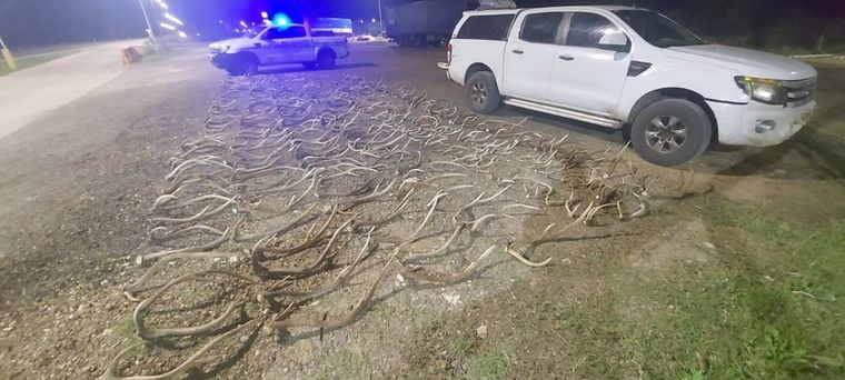 Foto: Gendarmería Nacional Argentina