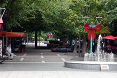 Foto: ALF PONCE MERCADO / MDZ Foto: ALF PONCE MERCADO / MDZ