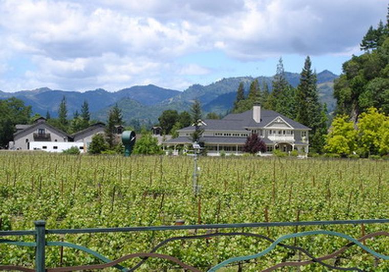 De Duckhorn Vineyards, Napa Valley, provienen los vinos que tomó Obama