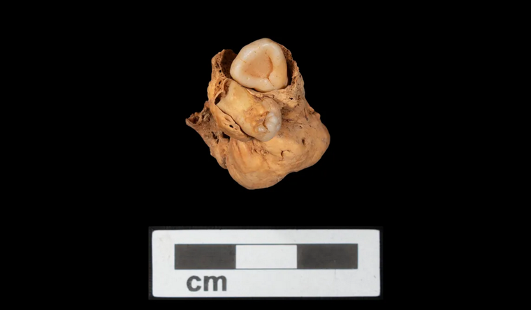 La pieza arqueológica ha generado un enorme interés. Foto: Deblauwe/AmarnaProject