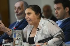 La diputada nacional dialogó con Uno Nunca Sabe Foto: NA