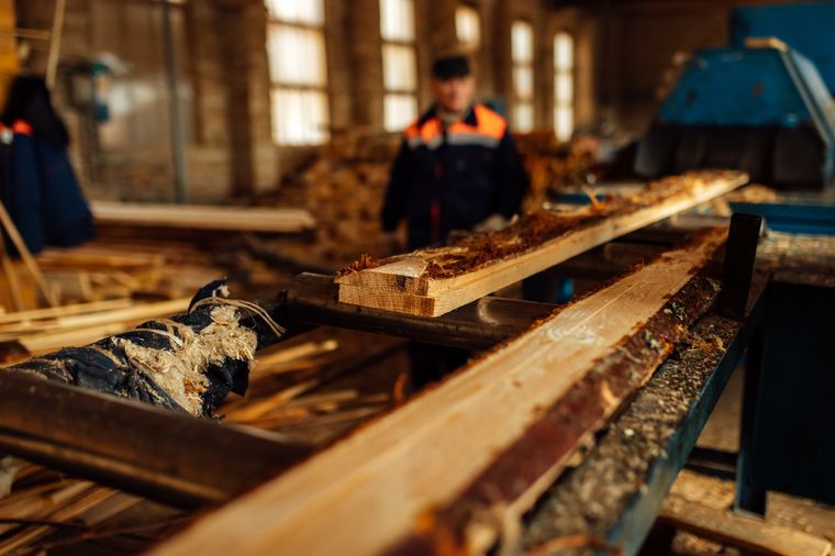 La industria maderera considera que el dólar a $800 no les termina de cerrar. Foto: Shutterstock