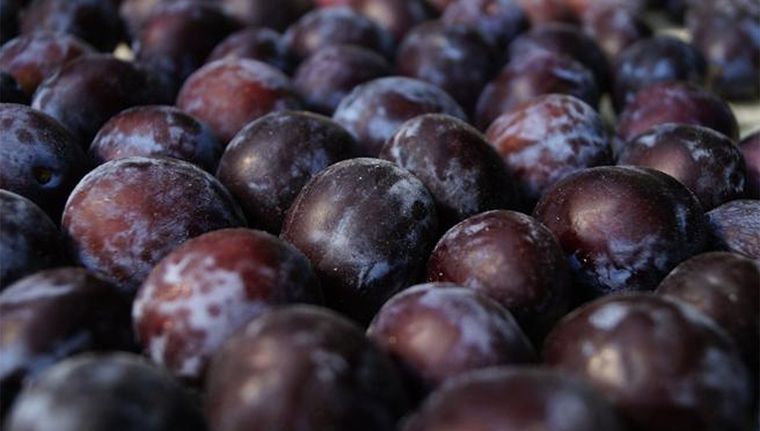 Las frutas frescas son ideales para la digestión. Las frutas frescas son ideales para la digestión.