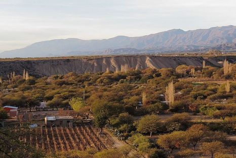 Amaicha del Valle es un pueblo tucumano donde la Pachamama y el paisaje calchaquí marcan toda la identidad local. Amaicha del Valle es un pueblo tucumano donde la Pachamama y el paisaje calchaquí marcan toda la identidad local.