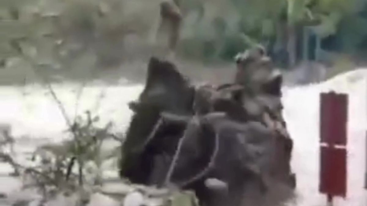 Impactante video: una crecida histórica arrastró el puente colgante de Villa Alpina