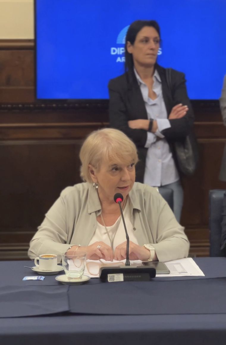 Silvana Giudici participó durante tres meses de trabajo en comisiones. Foto: X Giudici
