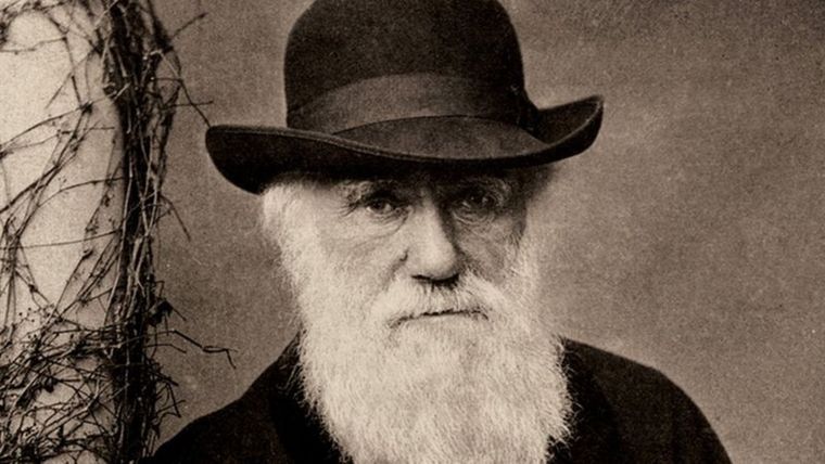 El trabajo de Charles Darwin sobre la teoría de la evolución por selección natural cambió la forma en la que vemos el mundo natural.