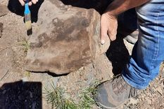 Foto: Municipalidad de Malargüe