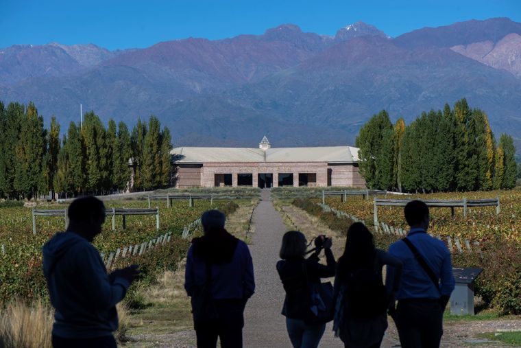 Bodega Salentein, visitada por turistas. Foto: Ilustrativa.