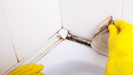 Con este truco el sarro quedará totalmente eliminado de las paredes del baño Foto: SHUTTERSTOCK