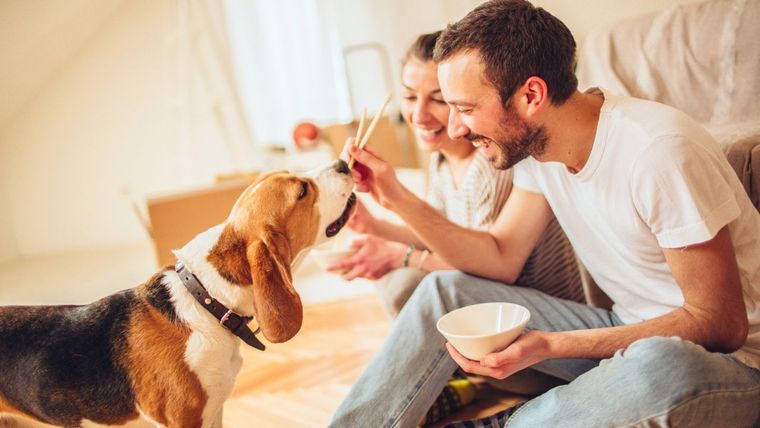 Foto: hogarmania.com