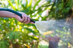JARDÍN Gracias al riego, se le aporta agua a los cultivos por medio del suelo Foto: Shutterstock