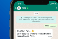 PAME, el chatbot del PAMI