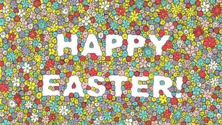 Acertijo visual, reto visual, abeja