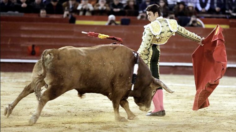 Las plataformas buscan defender los derechos de los animales. Foto: Eldesmarque.