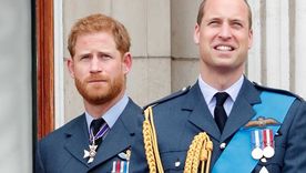 Los príncipes William y Harry heredaron rasgos de su carismática madre, Lady Di. Foto: YouTube - Entertainment Tonight