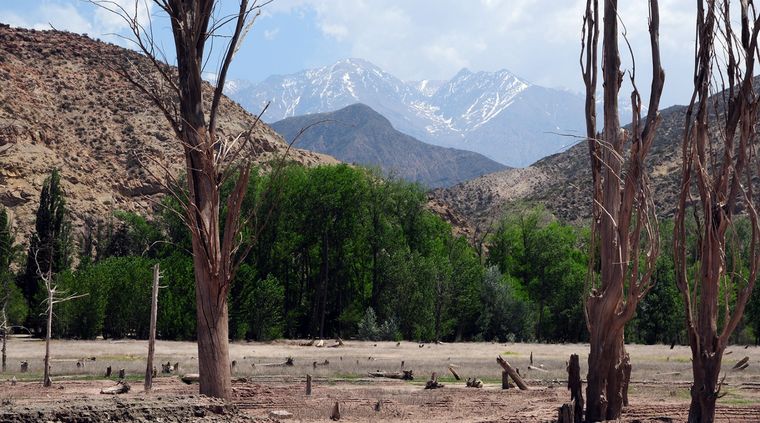 Foto: ALF PONCE MERCADO / MDZ