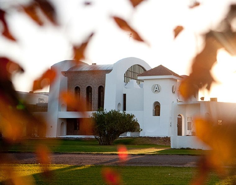 Foto: Bodega Argento