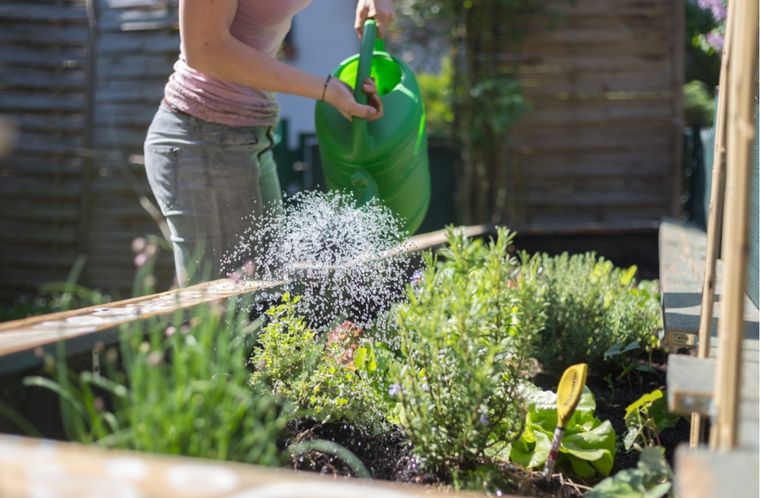 JARDÍN FERTILIZANTE PARA LAS PLANTAS DEL JARDÍN. Foto: shutterstock