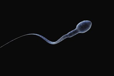 MDZol | La cuenta de espermatozoides cayó 51% en cinco décadas, según los estudios. Foto: GETTY IMAGES