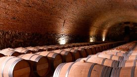 La idea de esta iniciativa es fortalecer el turismo y revalorizar la historia, la cultura y la identidad vitivinícola del departamento mediante una articulación público-privada.&nbsp;