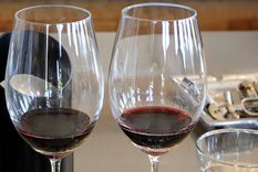 La industria del vino se reúne este martes en Mendoza Foto: ALF PONCE MERCADO / MDZ