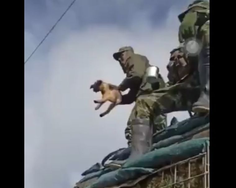 El momento en que el soldado colombiano arroja violentamente al perro por el aire