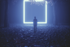 En julio se estrena Secret Garden, el show de luces que dejará al descubierto los secretos del Jardín Botánico.