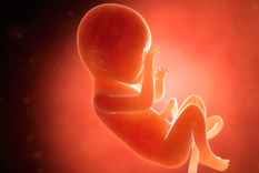 Hay deudas que ninguna ley puede saldar si no cambia primero la forma en que nos miramos como sociedad.