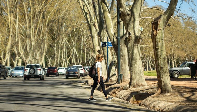 Foto: Santiago Tagua/MDZ